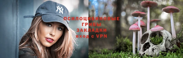стаф Баксан