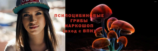 прущие крисы Балахна