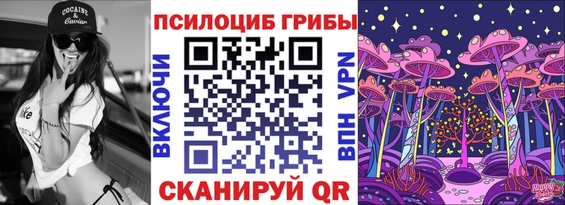 Галлюциногенные грибы Magic Shrooms  omg зеркало  Буйнакск  где купить наркотик 